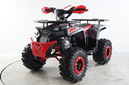 ATV Teddy automatic cu revers 2025